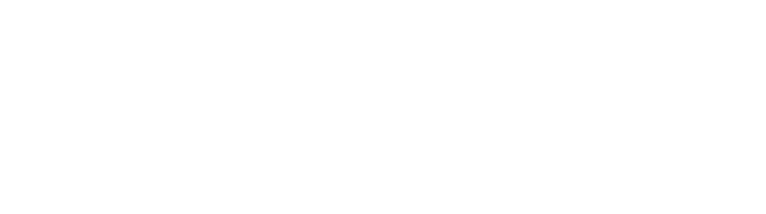 Plain Vision Designs Logo